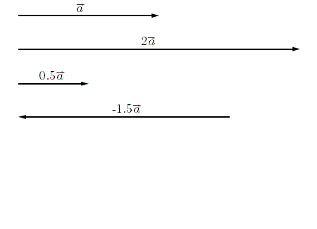 A vector being multiplied by different scalars.