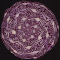 A cross-section of a red cabbage has a pattern.