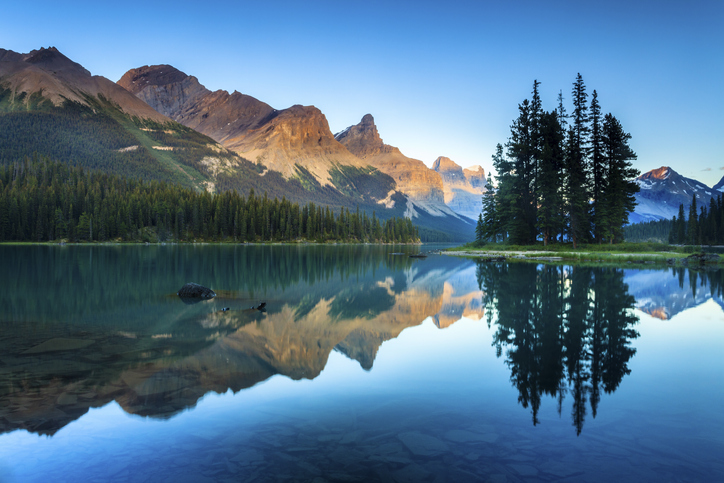 A photo of tree reflected in a lake.